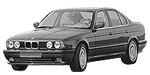 BMW E34 P3246 Fault Code